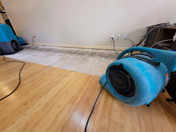Professional Flood Damage Cleanup technician working in Woodcliff Lake, NJ